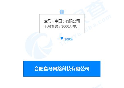 合肥盒馬網(wǎng)絡(luò)科技公司成立，注冊(cè)資本3000萬美元聚焦網(wǎng)絡(luò)信息技術(shù)